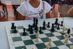 Allison-Salas