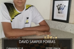 David-Samper