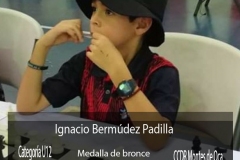 Ignacio-Bermudez